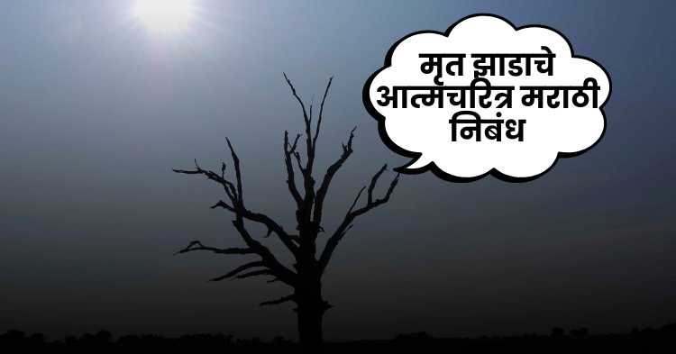 Dead tree's autobiography marathi essay