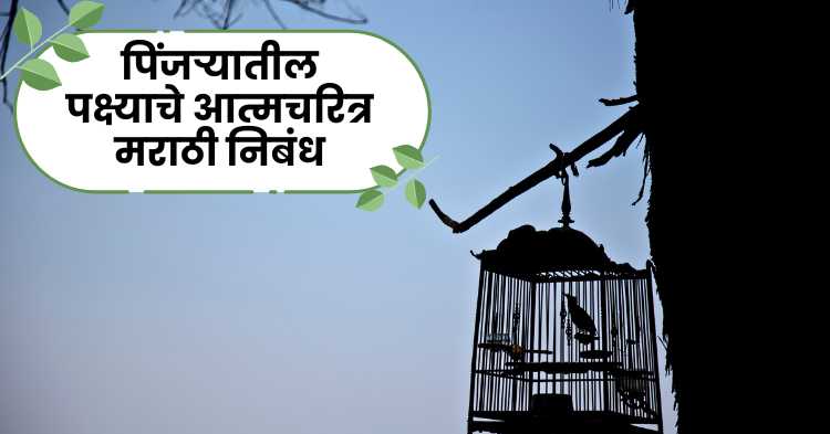 Caged Bird Autobiography Marathi Essay